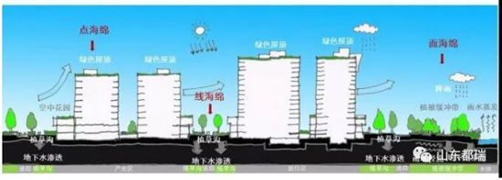 如何理解「海綿城市」的概念？